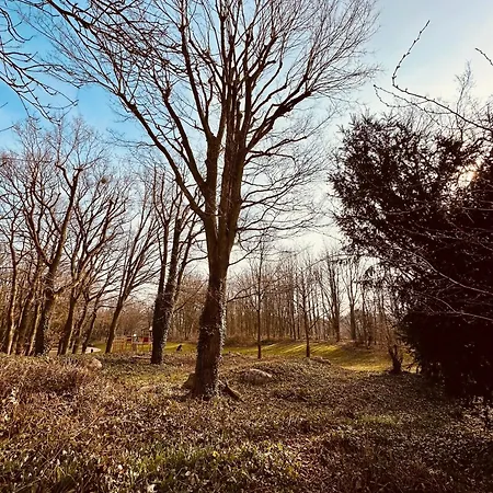 C-11 Ruhige Lage Lägenhet Sierksdorf